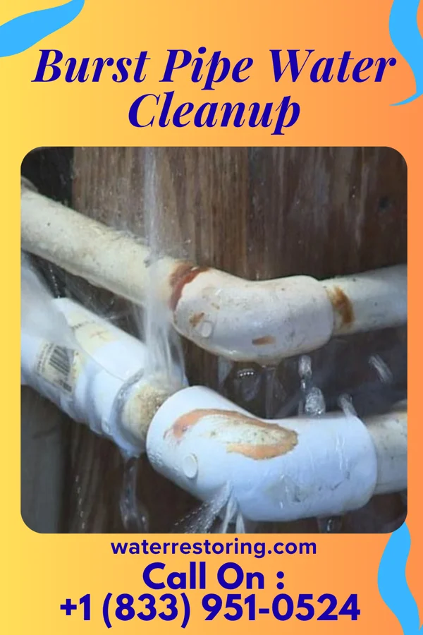 Burst Pipe Water Cleanup in Crainville, IL