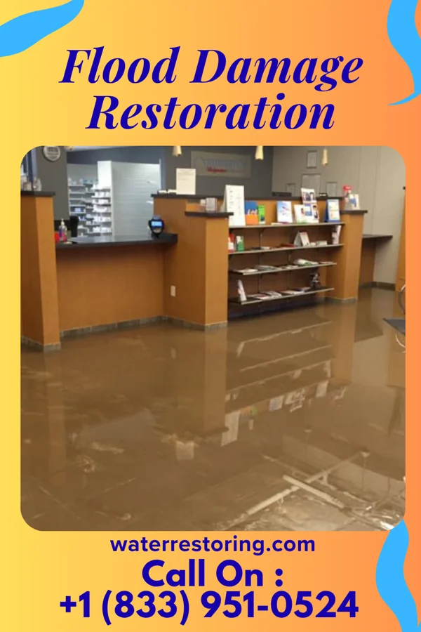 Flood Damage Restoration in Crainville, IL