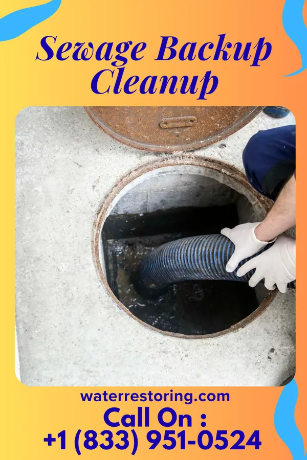 Sewage Backup Cleanup in Crainville, IL